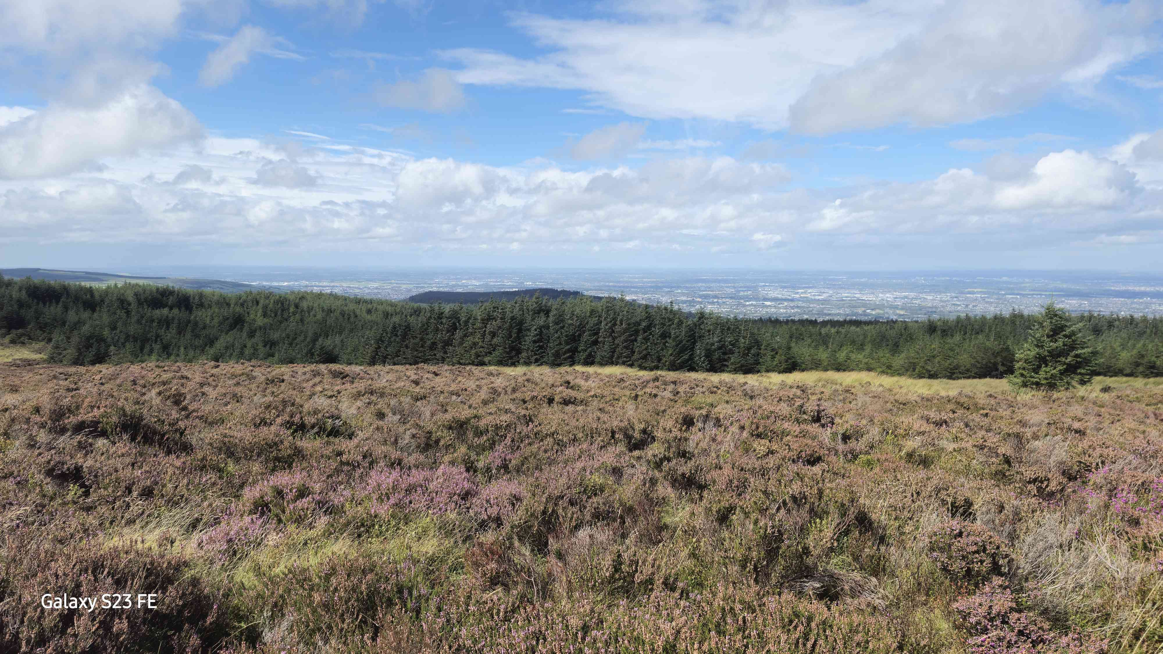 A map preview of the recording Marley park -> Dublin hills -> hellfire club  (of road).