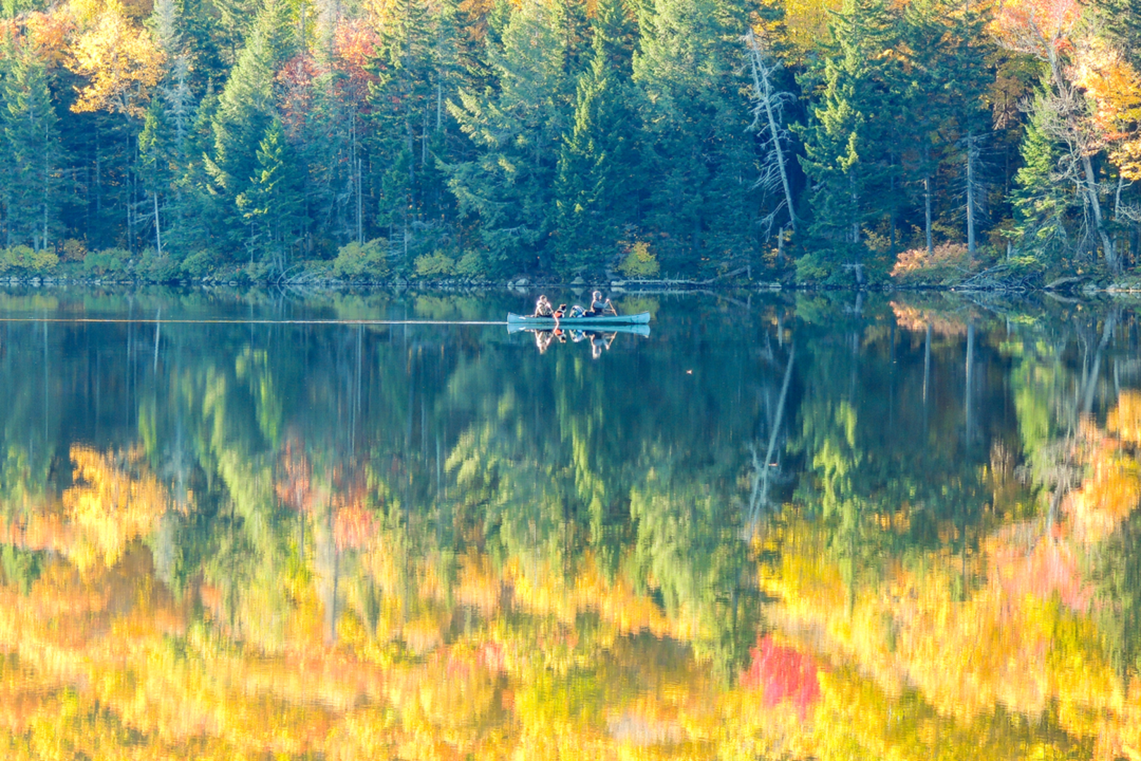 An image depicting the trail Grout Pond Camp Trail and its surrounding area.
