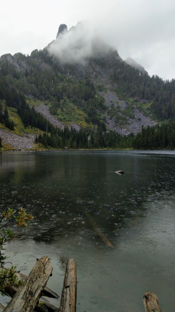An image depicting the trail Barclay Lake Trail and its surrounding area.