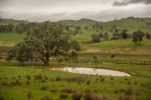 Great Victorian Rail Trail