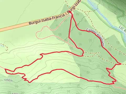 Beech Forest-Dronda SL NA 81