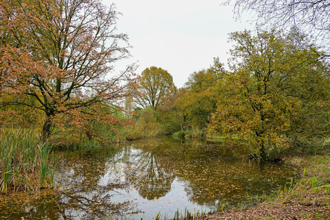 Leerdam to Gorinchem via Heukelum, Hooge Veld and River Waal