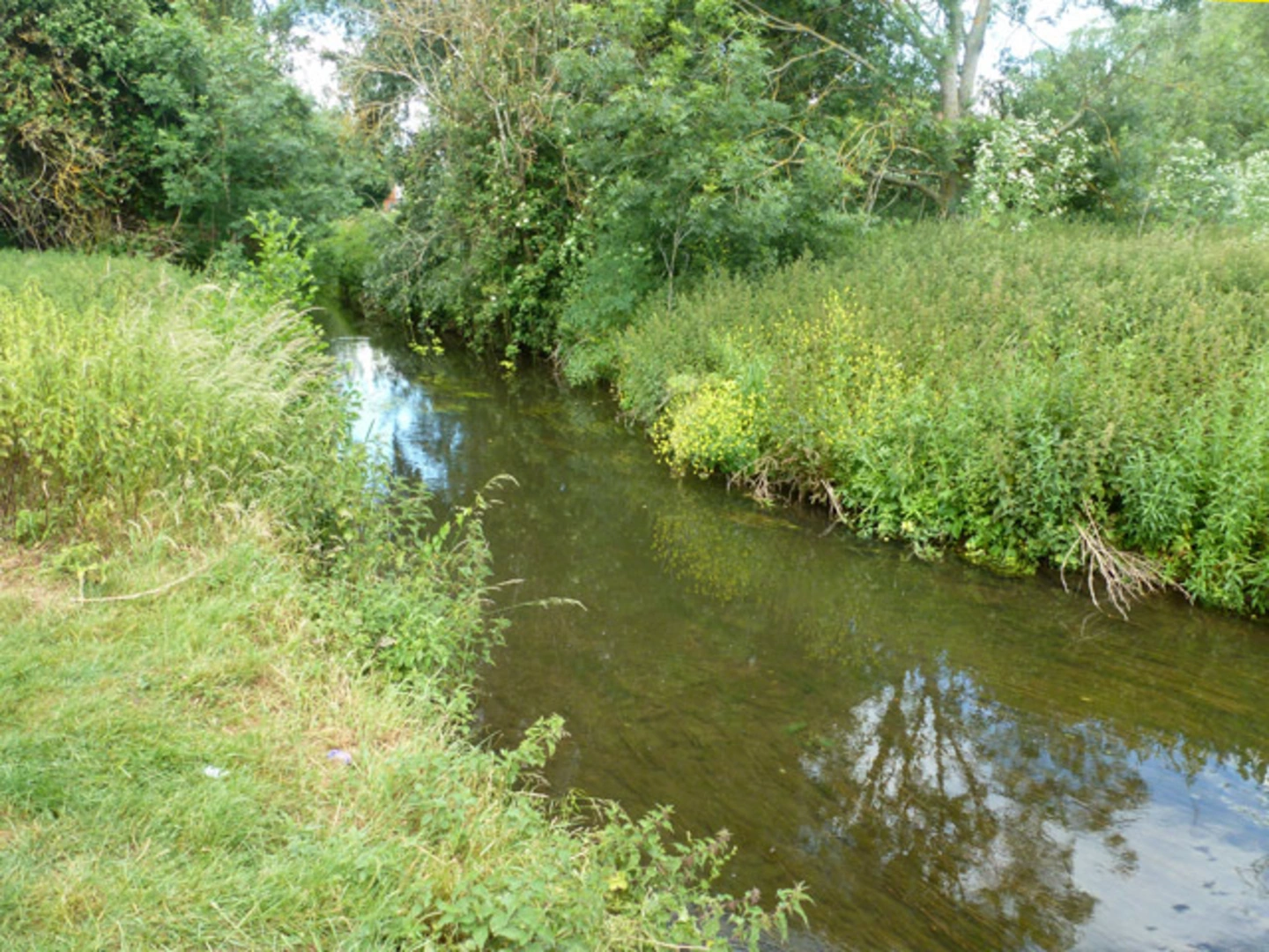 An image depicting the trail Witham River Walk and its surrounding area.