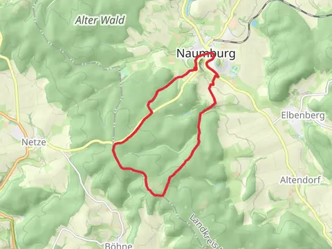 Naumburg N5