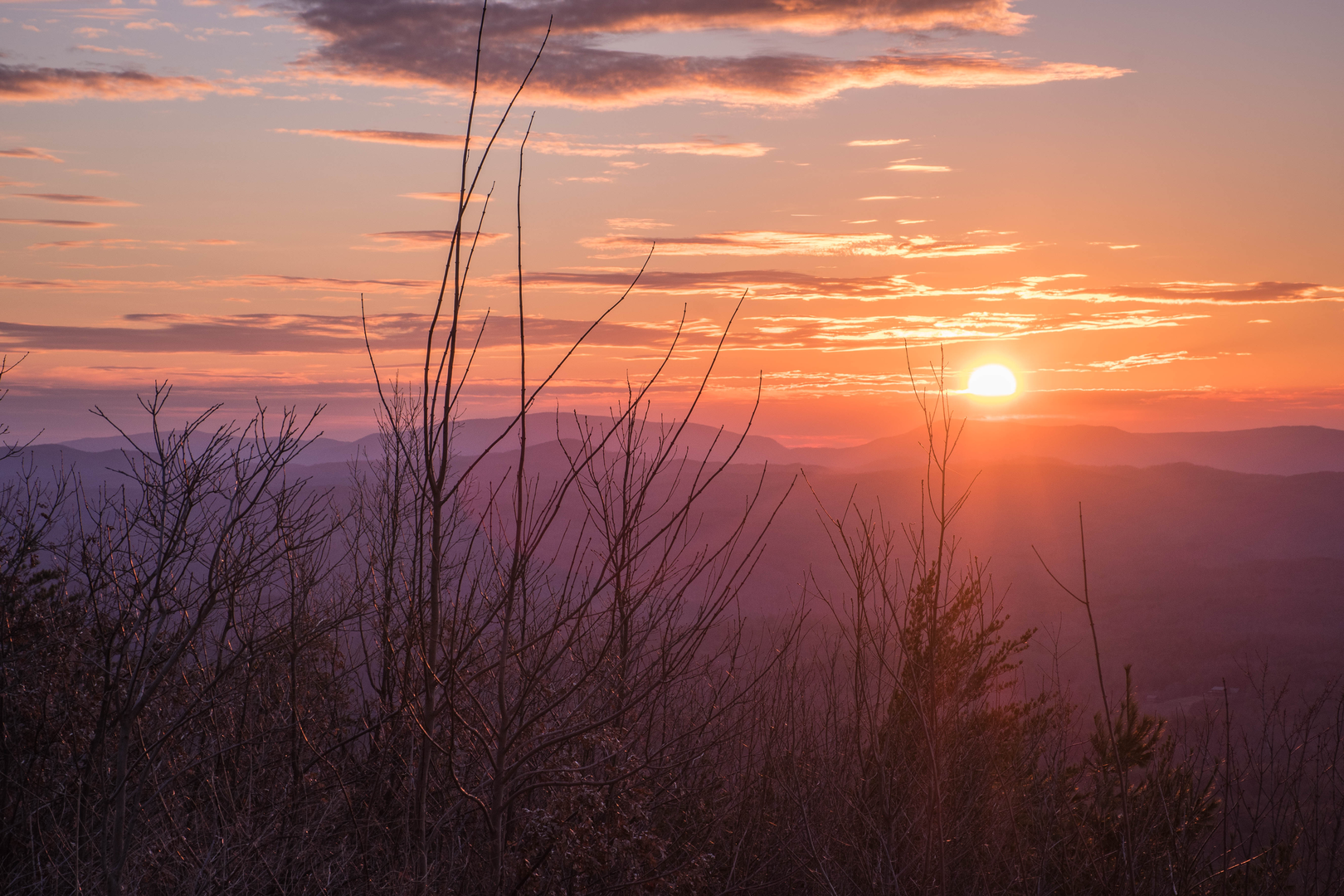 An image depicting the trail Appalachian Trail - Tennessee and its surrounding area.