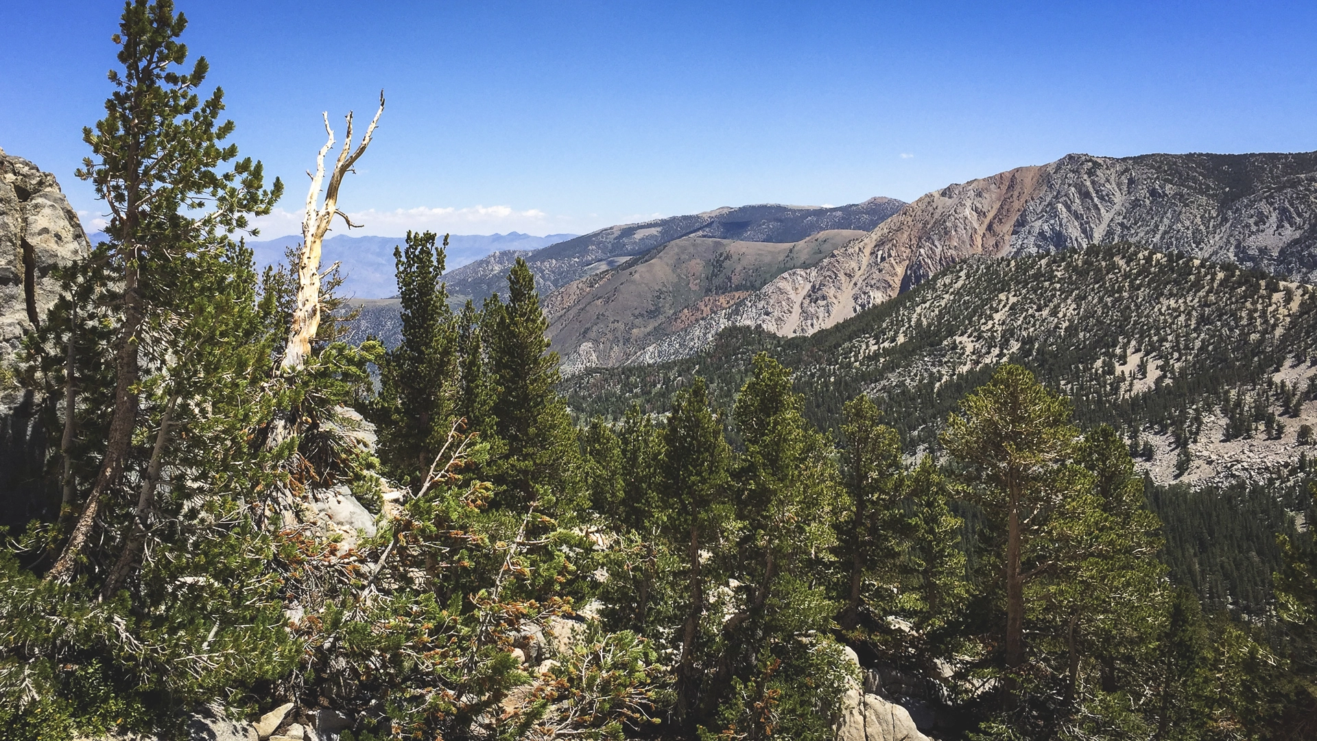 An image depicting the trail Mount Lamarck via Lamarck Creek and its surrounding area.