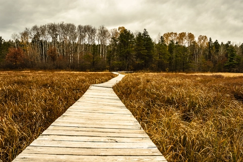 Long Lake Trail
