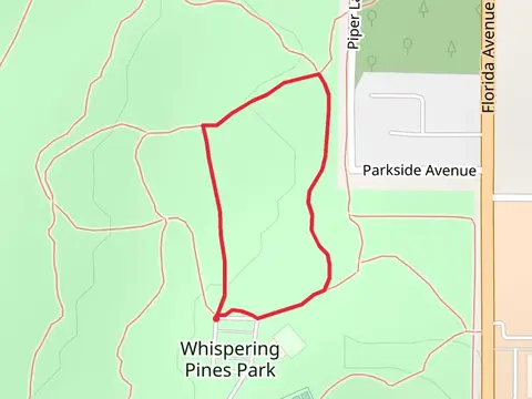 Red Loop