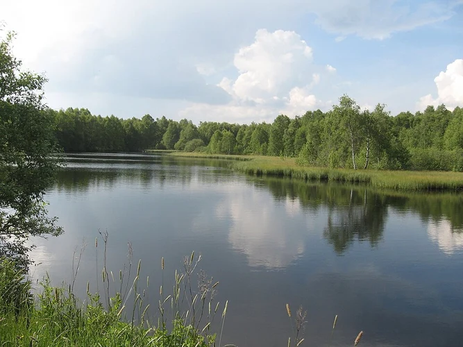 Rotes Moor Rundweg and Ortesweg