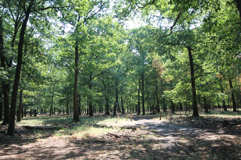 De Groote Modderkolk Loop