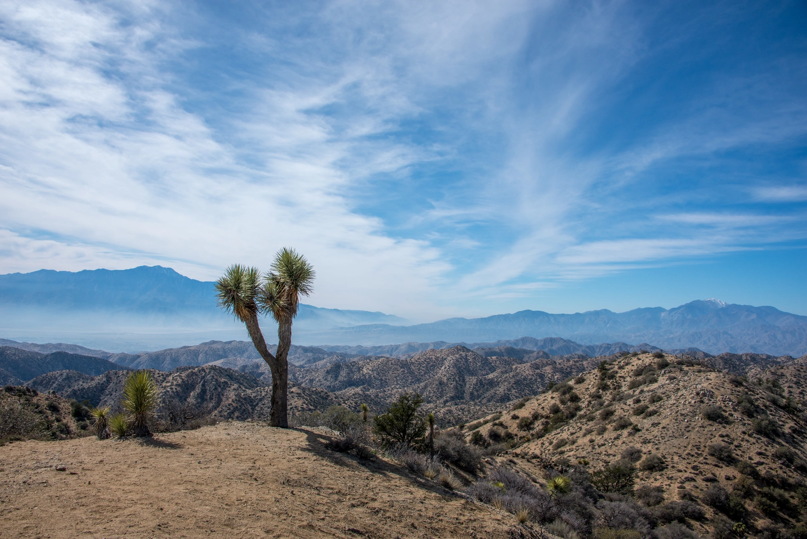 An image depicting the trail Eureka Peak and Burnt Hill Loop Trail and its surrounding area.