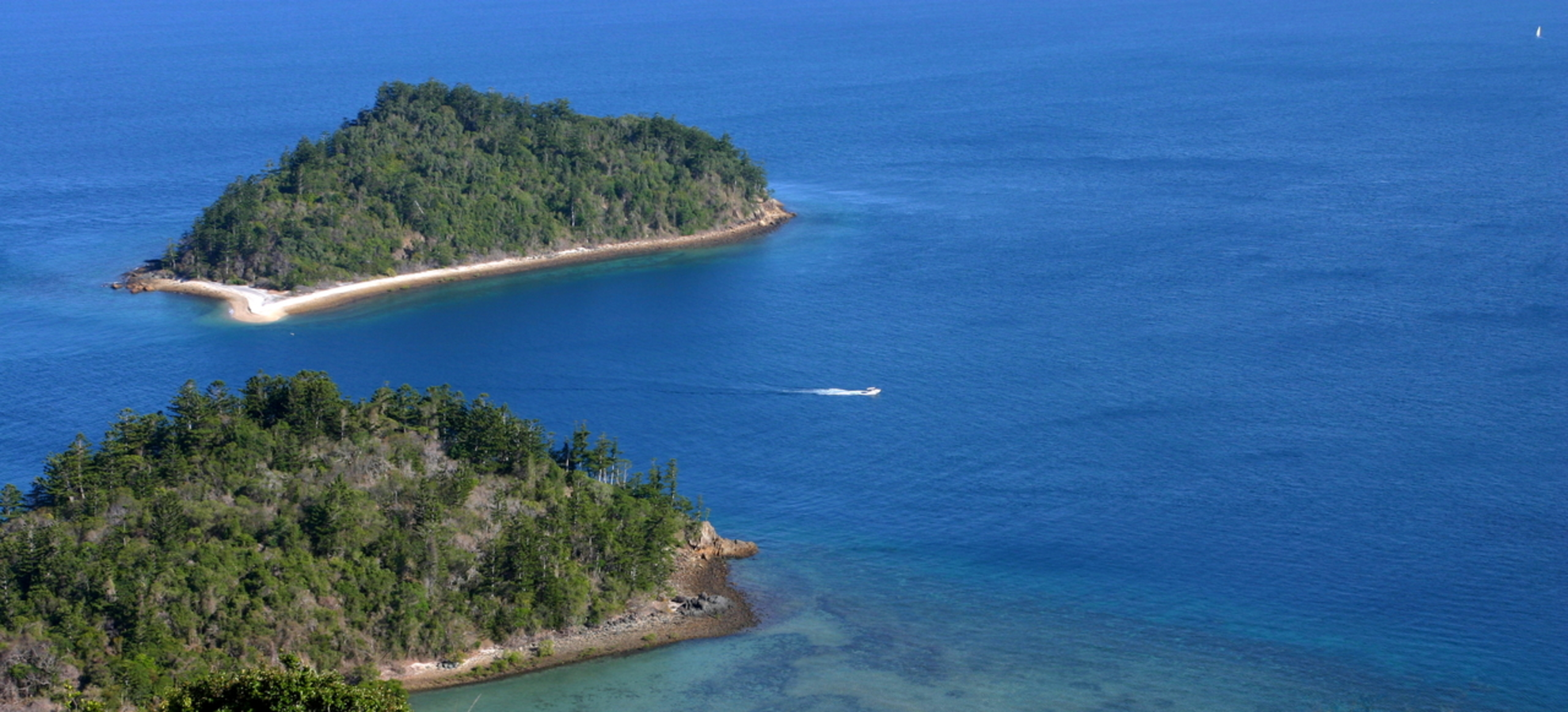 An image depicting the trail Bauer Bay – Paddle Bay Walk and its surrounding area.