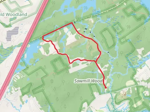 Sawmill Woods Loop