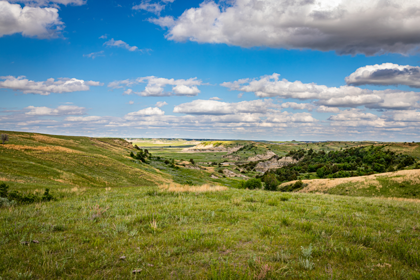 An image depicting the trail Lower Talkington Trail and its surrounding area.