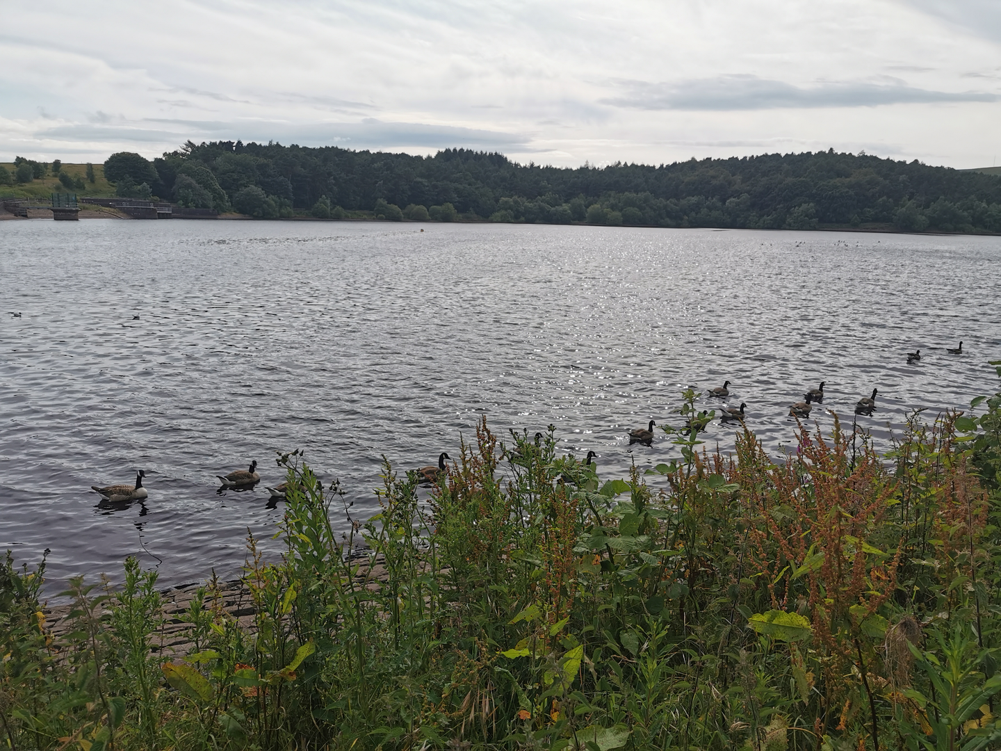 An image depicting the trail Windy Hills - White Hill and Piethorne Reservoir and its surrounding area.