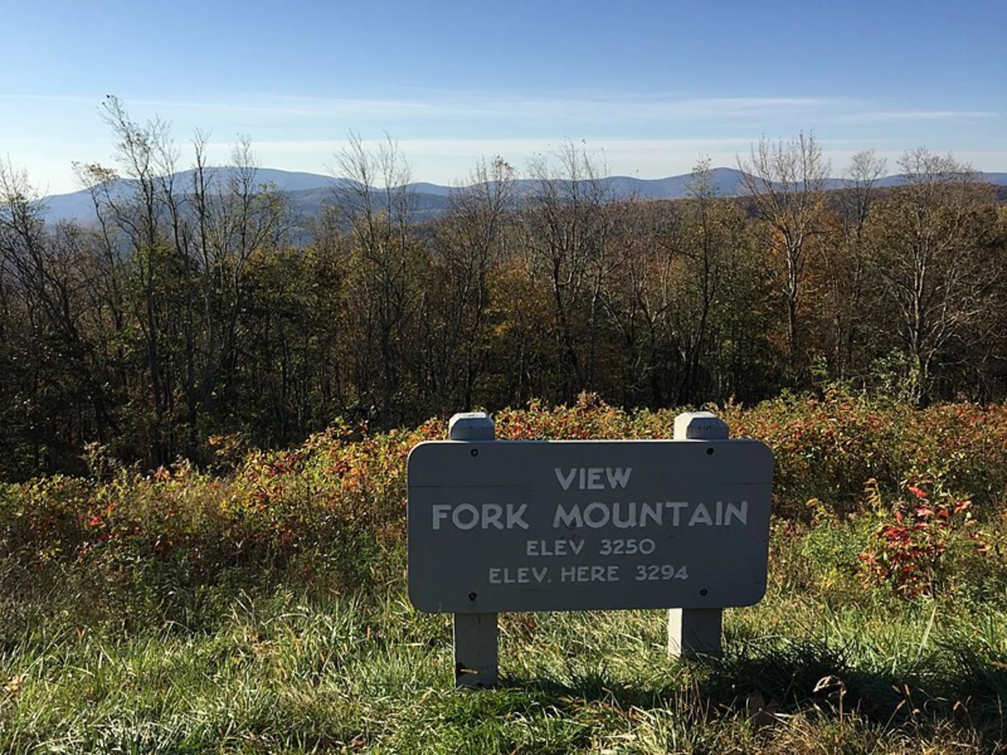 An image depicting the trail Mine Bank Creek Trail and its surrounding area.