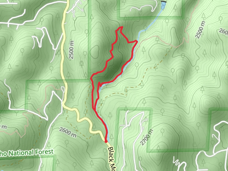 Maxwell Falls Bluffs Loop Trail