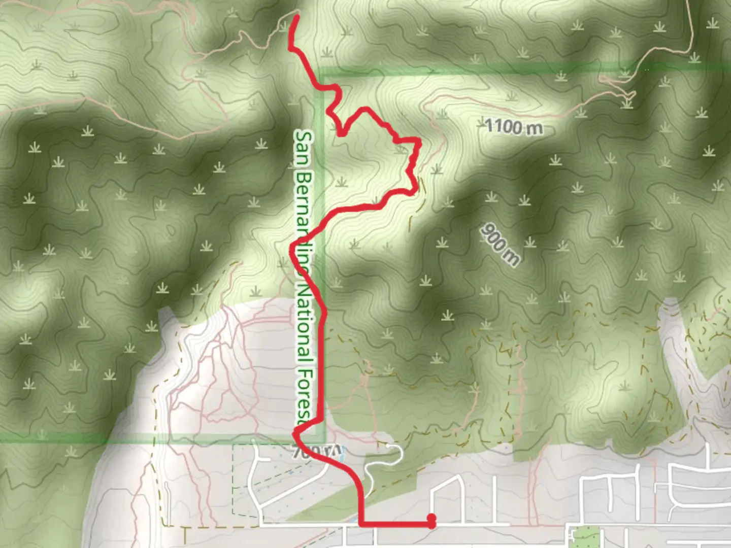 An image depicting the trail Big Tree and West Fork Cucamonga Road and its surrounding area.