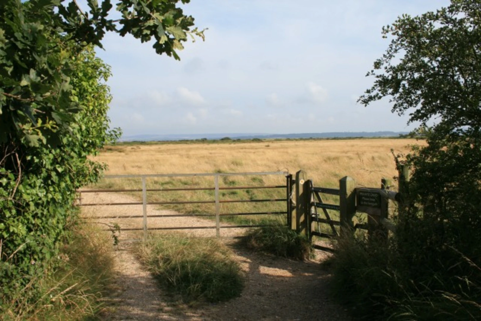 An image depicting the trail Four Acre Pond and its surrounding area.