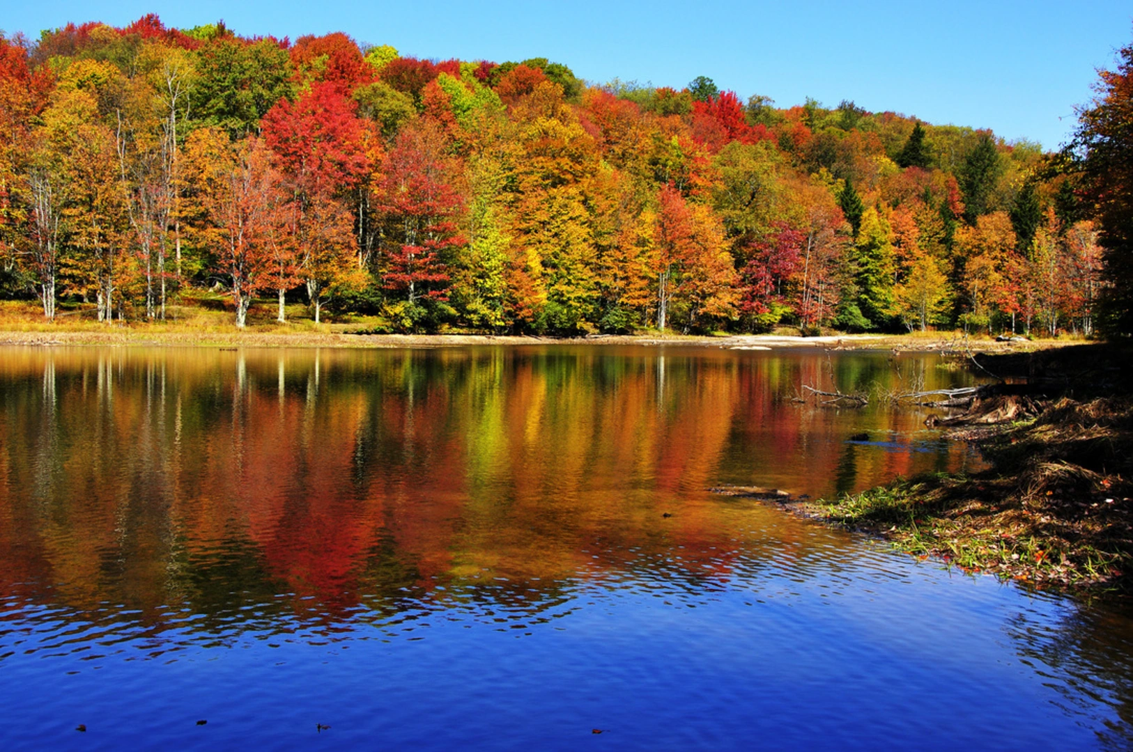 An image depicting the trail Summit Lake Trail and its surrounding area.