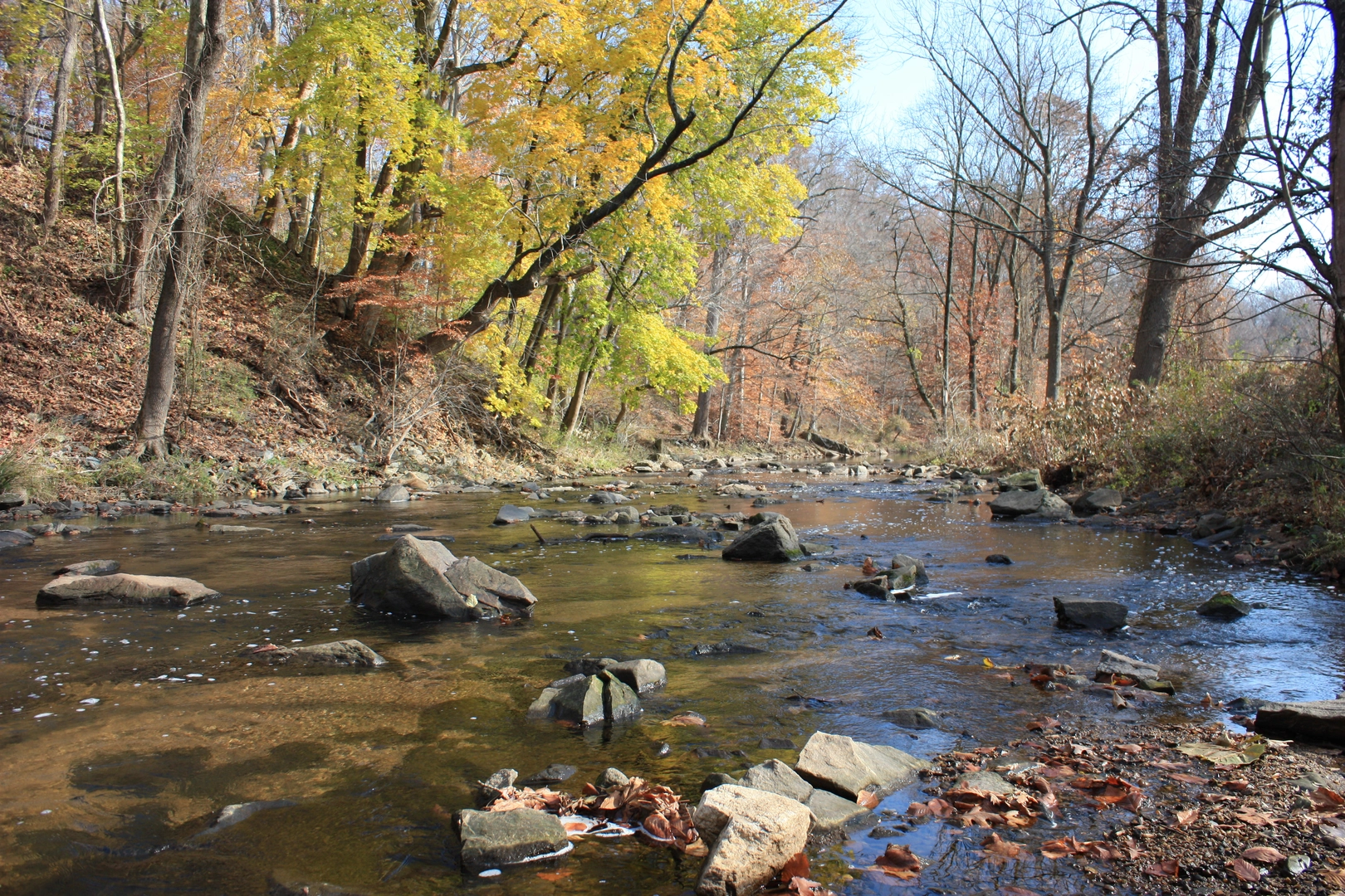 An image depicting the trail Pennypack Trail and its surrounding area.