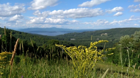 Gunstock Mountain Loop