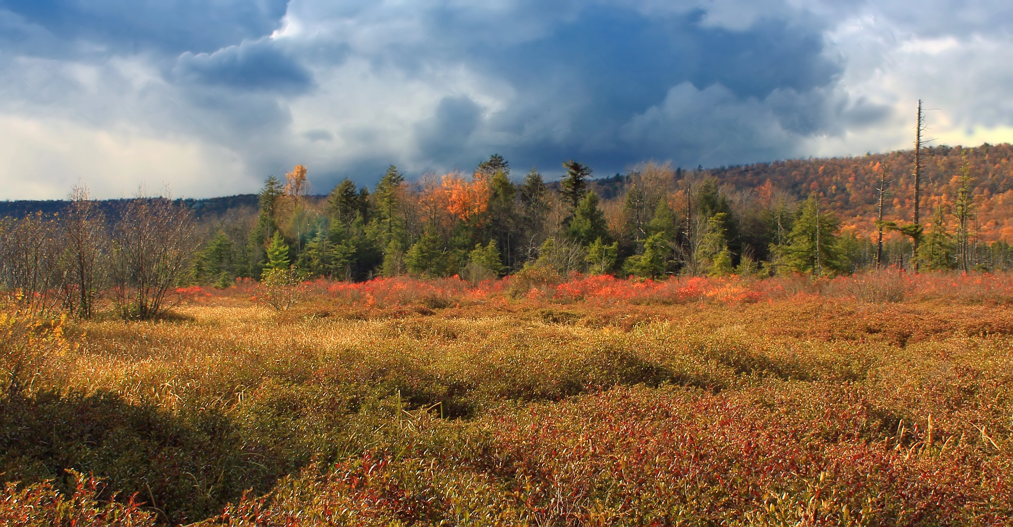 An image depicting the trail Bear Meadows Loop Trail and its surrounding area.