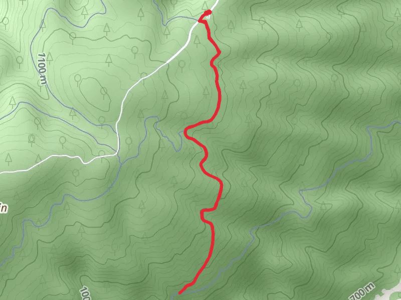 Wheels Up via Genesis Loop Trail