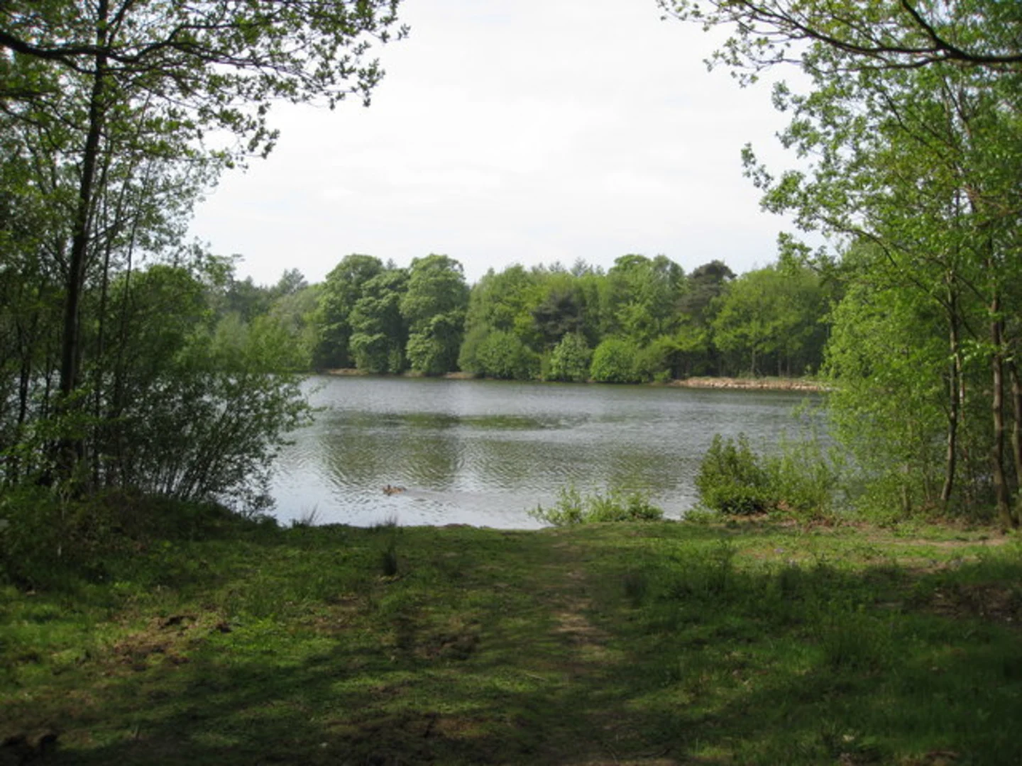 An image depicting the trail Emperor Lake and Swiss Lake Loop from Chatsworth and its surrounding area.