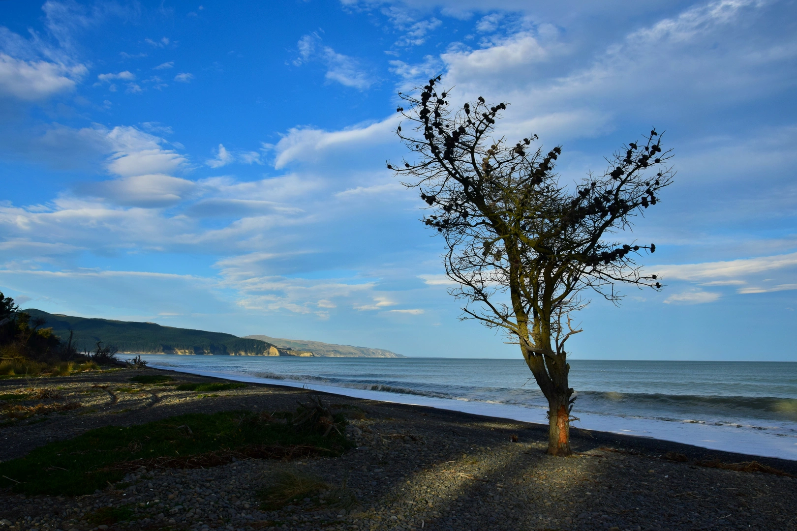 An image depicting the trail Amberley Beach Walk and its surrounding area.
