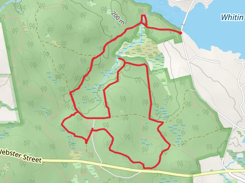 Streeter Trail