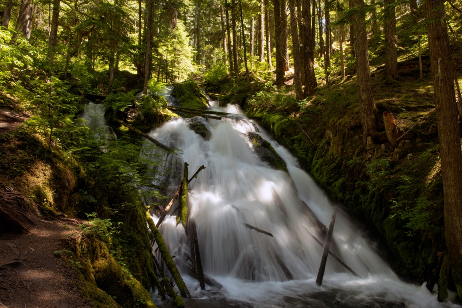 An image depicting the trail Laurel Hill Chute Trail and its surrounding area.