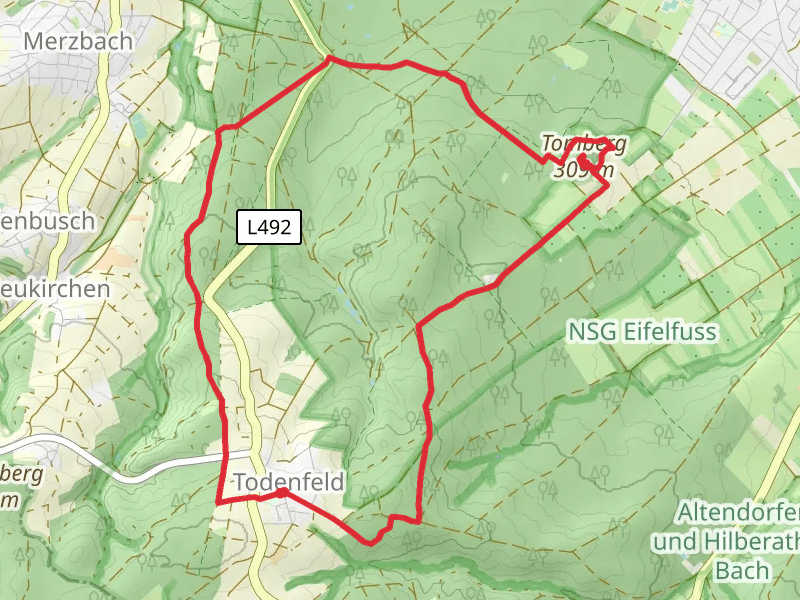 Todenfeld and NSG Rheinbacher Wald Loop via Tomburg Castle