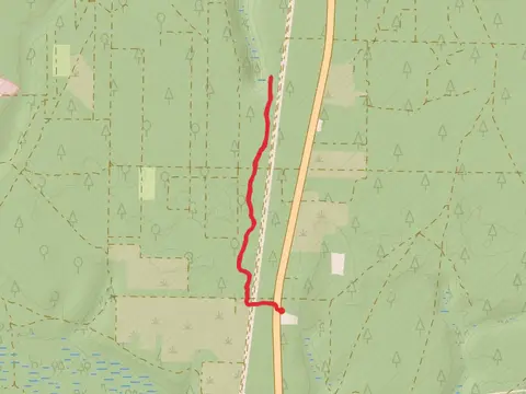Florida Trail Short
