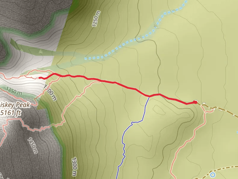 Climbers trail to Black Velvet Canyon