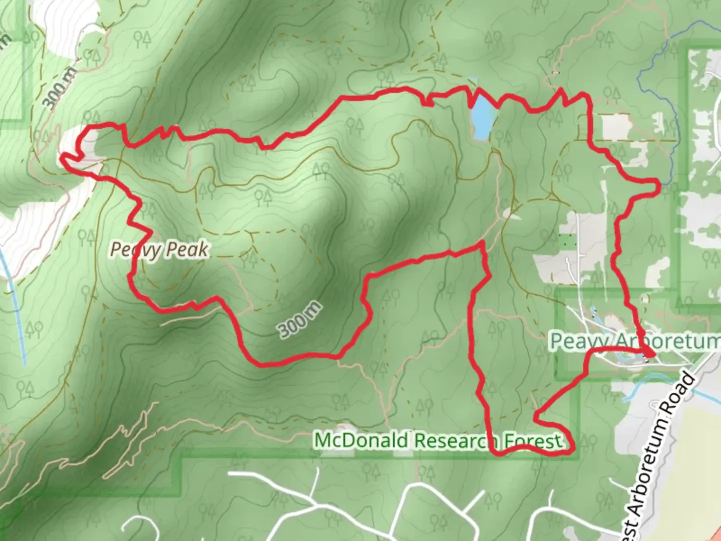 An image depicting the trail Intensive Management, Cronemiller Lake and Section 36 Loop Trail and its surrounding area.