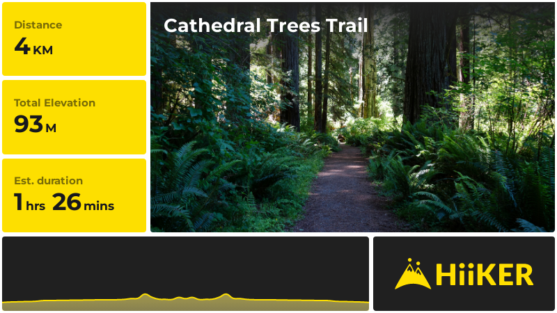 Cathedral Trees Trail | Humboldt County | California