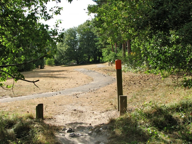 Saint Helen's Picnic Site Loop