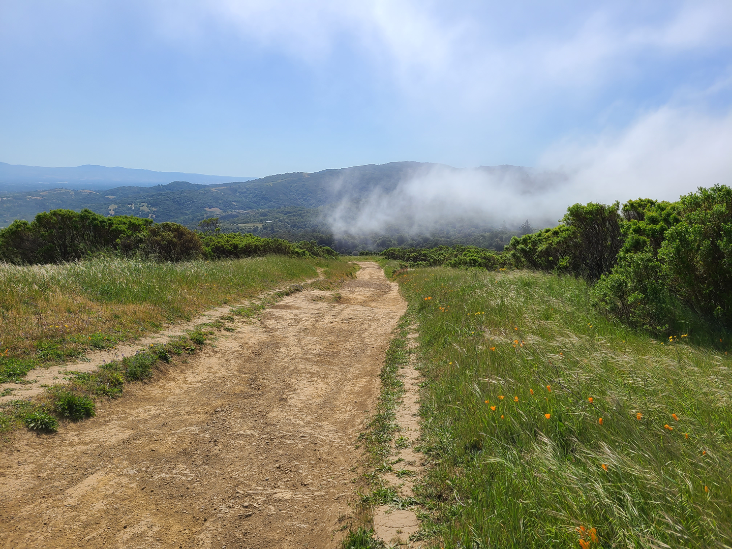An image depicting the trail Razorback Ridge Trail and its surrounding area.