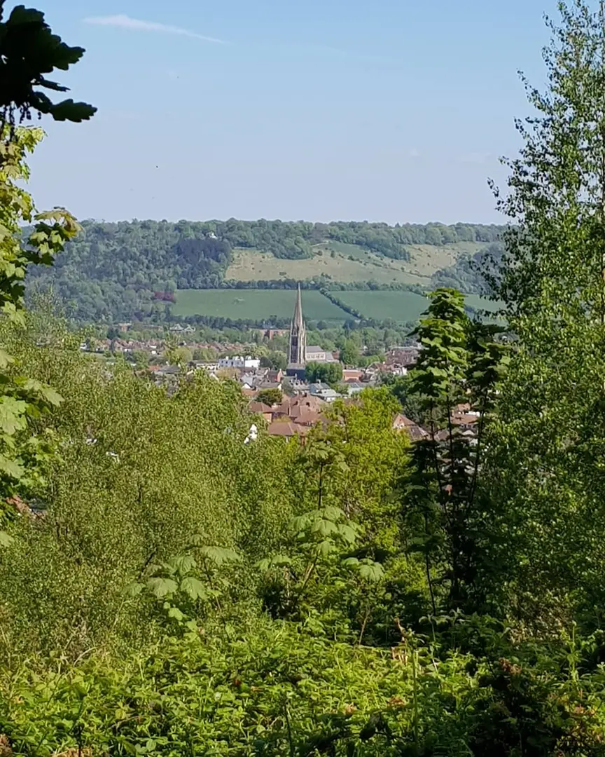 An image depicting the trail Dorking Skyline Walk and its surrounding area.