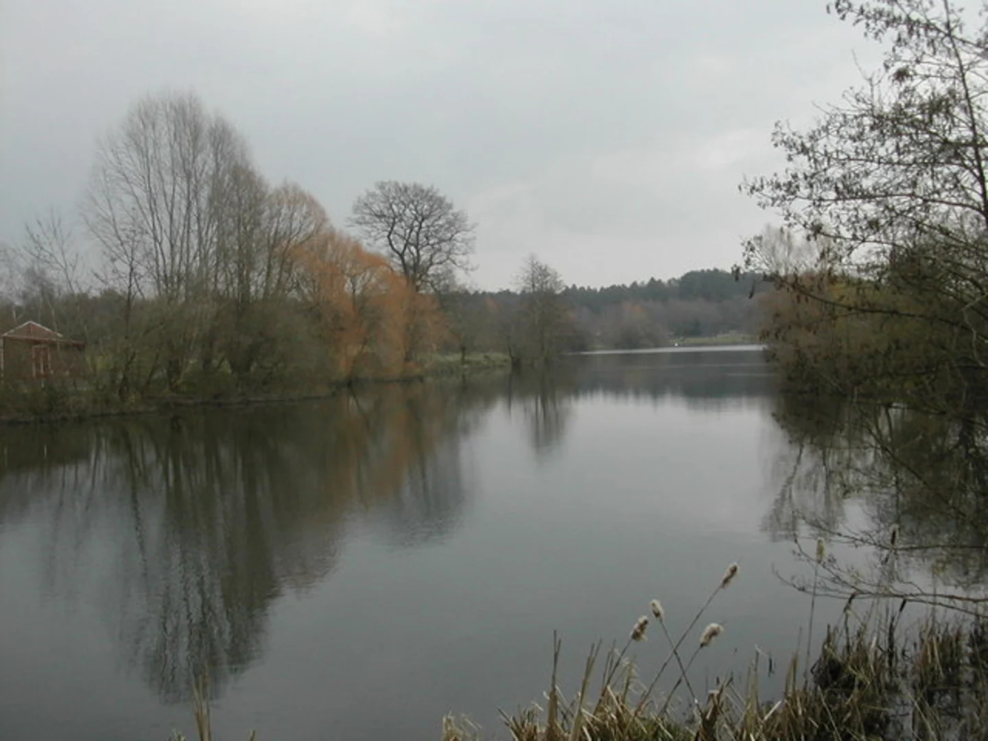 An image depicting the trail Moors Valley Country Park Loop and its surrounding area.