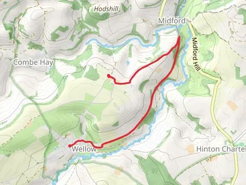 Hankley Wood and Rainbow Wood Walk