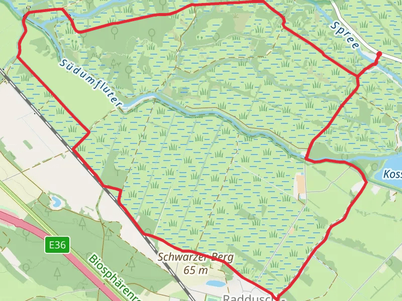 Moorlehrpfad Raddusch Loop