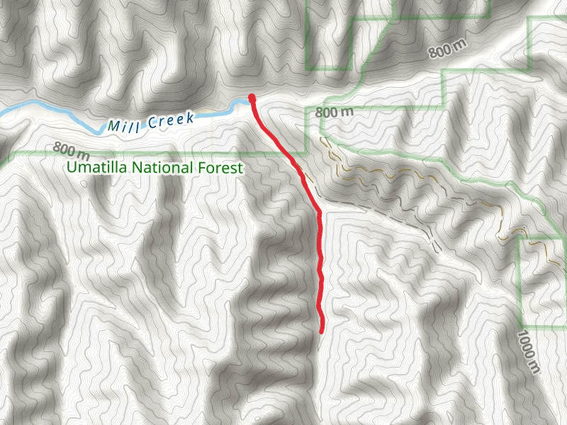 West Tiger Creek Trail