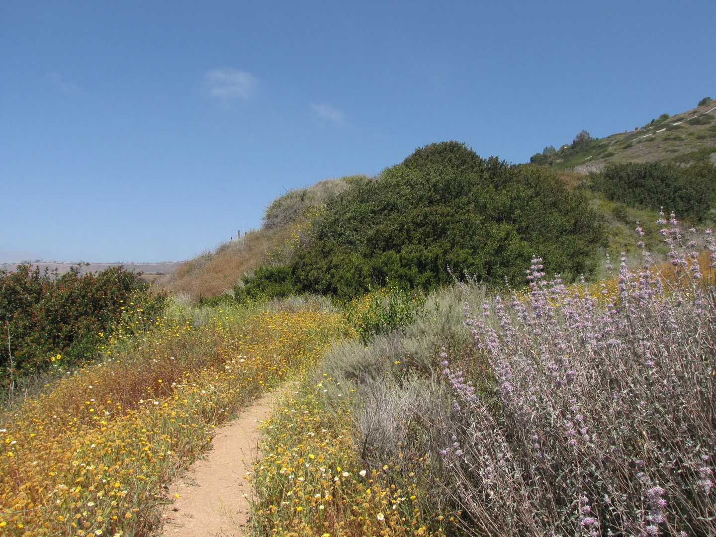 An image depicting the trail Barn Owl and Panorama Loop Trail and its surrounding area.