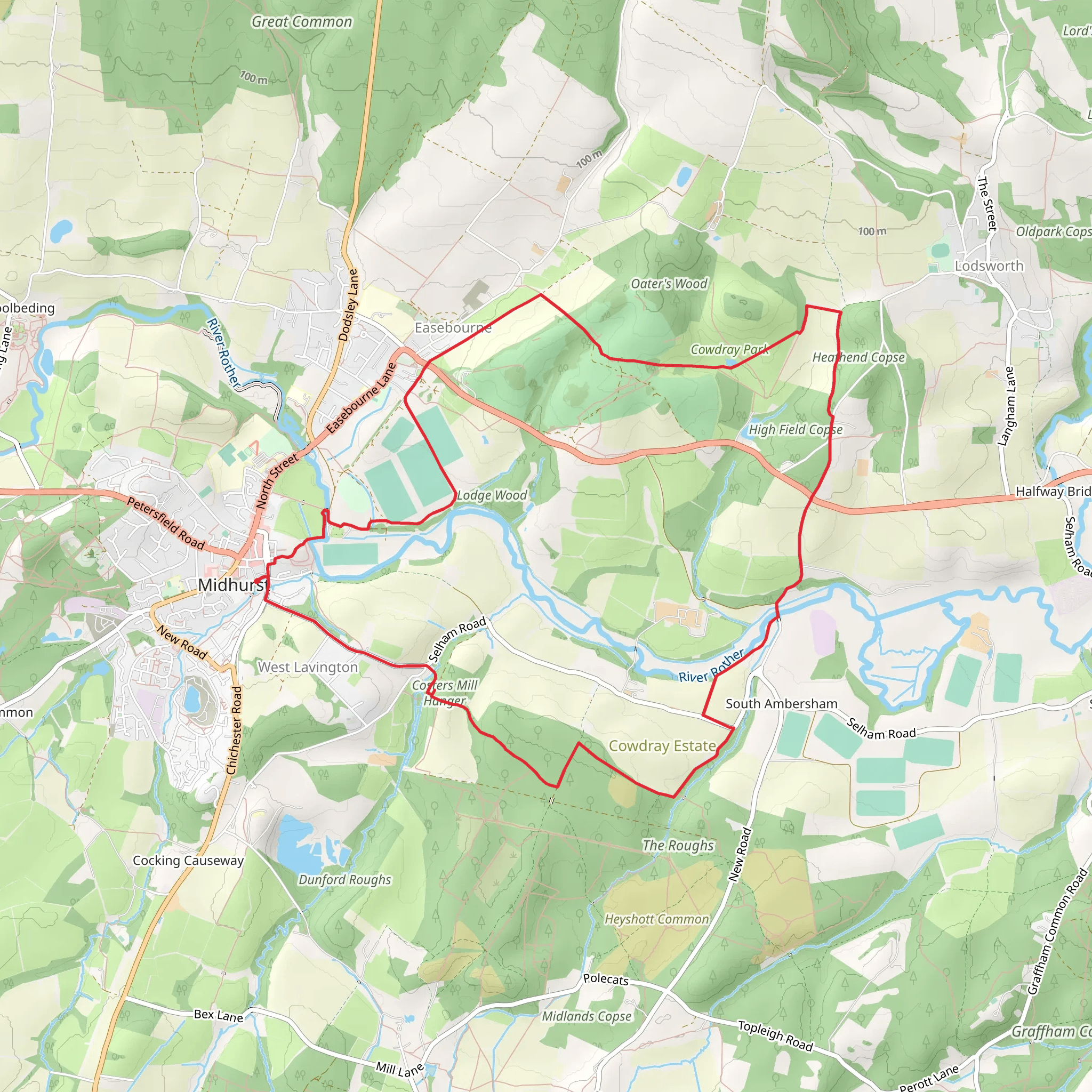 Costers Mill Hanger and Cowdray Park Loop mobile static map
