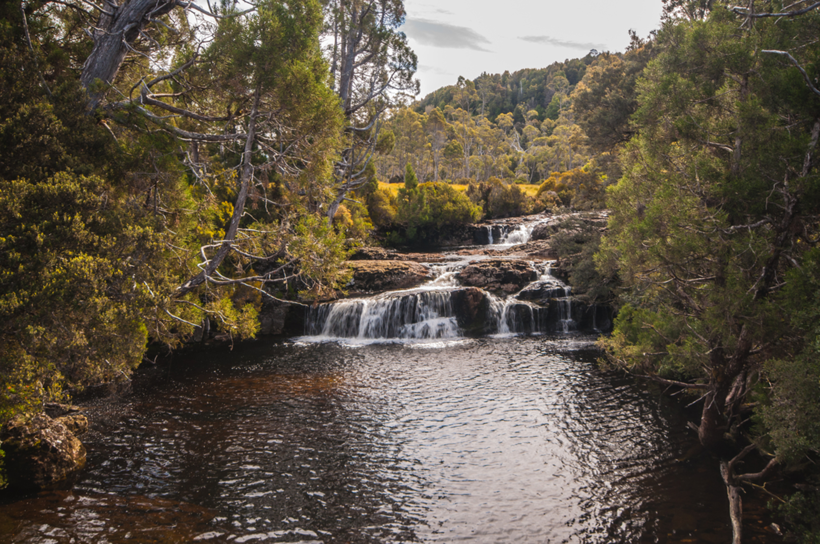 An image depicting the trail Enchanted Walk and its surrounding area.