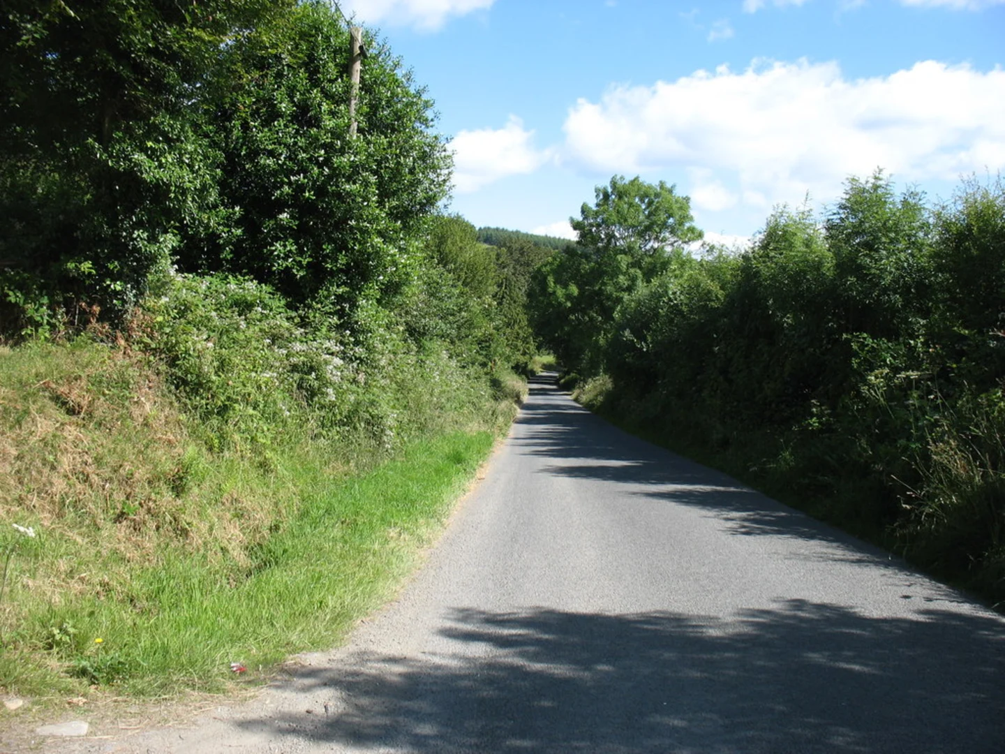 An image depicting the trail Ciaran Shannon Walk and its surrounding area.