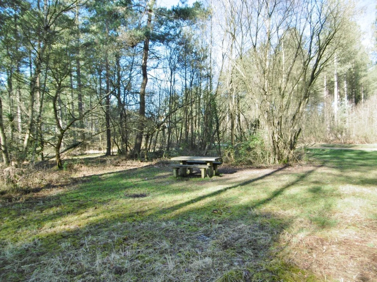 An image depicting the trail Keys Copse Walk and its surrounding area.