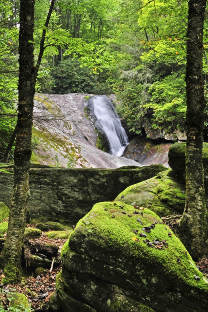 An image depicting the trail North Harper Shortcut Trail and its surrounding area.
